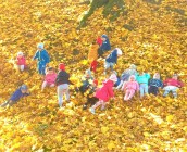 WP_20181015_09_38_14_ev4_Pro