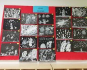 IMG_20190130_072807
